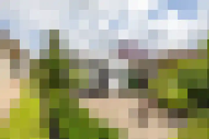 Johan Rengerssingel 1 Harkstede thumbnail 58