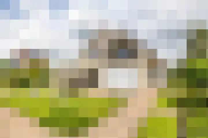 Johan Rengerssingel 1 Harkstede thumbnail 61