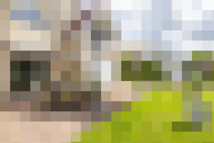 Johan Rengerssingel 1 Harkstede thumbnail 62