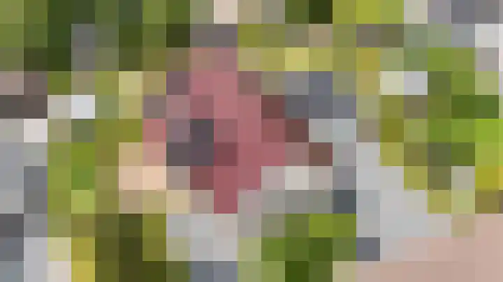 Johan Rengerssingel 1 Harkstede thumbnail 63