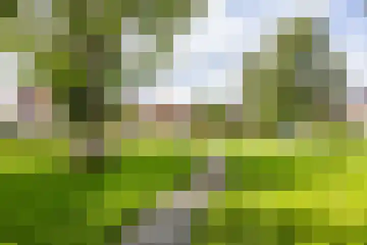 Johan Rengerssingel 1 Harkstede thumbnail 65