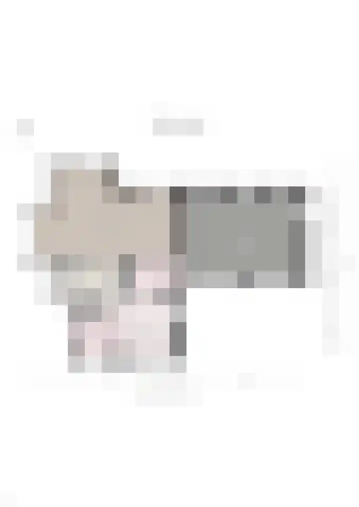 Johan Rengerssingel 1 Harkstede thumbnail 7