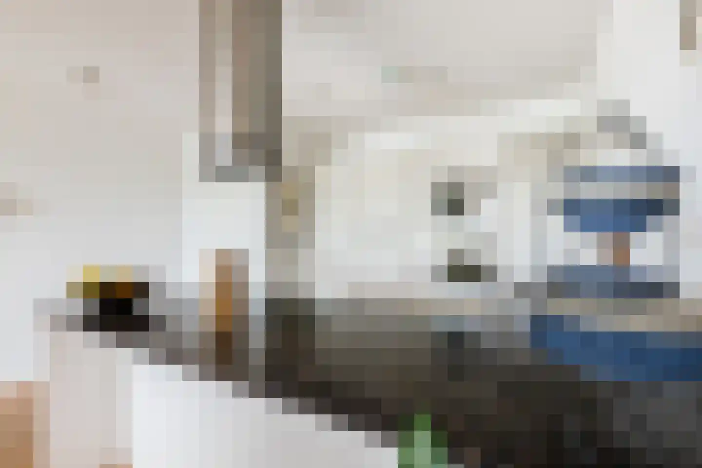 Johan Rengerssingel 13 Harkstede thumbnail 18