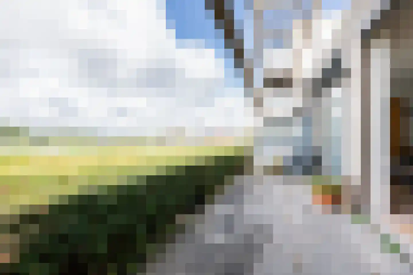 Johan Rengerssingel 13 Harkstede thumbnail 24