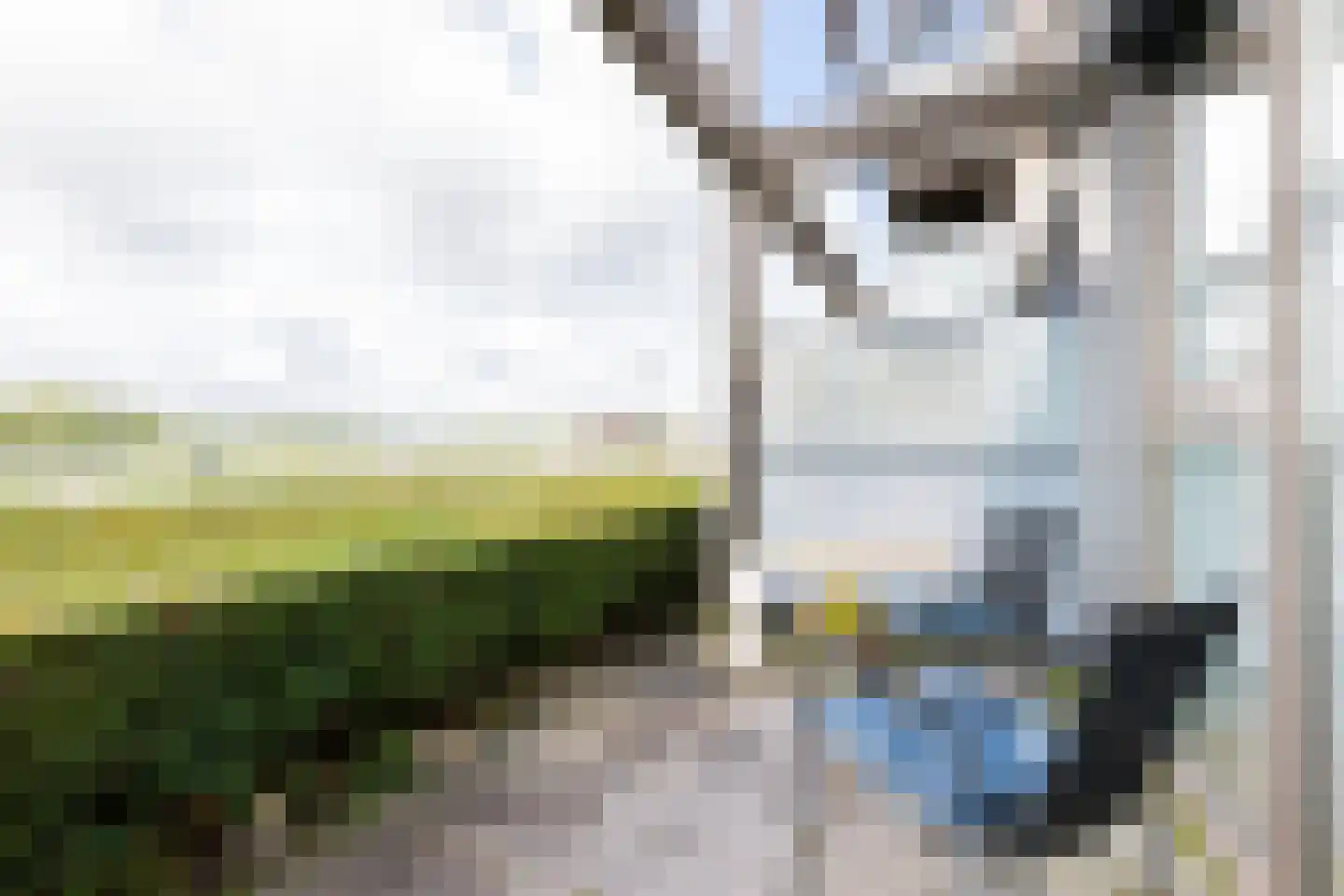 Johan Rengerssingel 13 Harkstede thumbnail 25