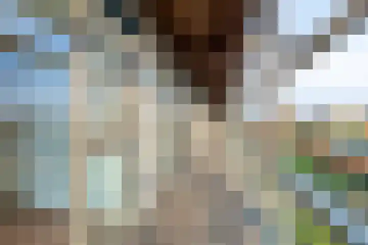 Johan Rengerssingel 43 Harkstede thumbnail 8