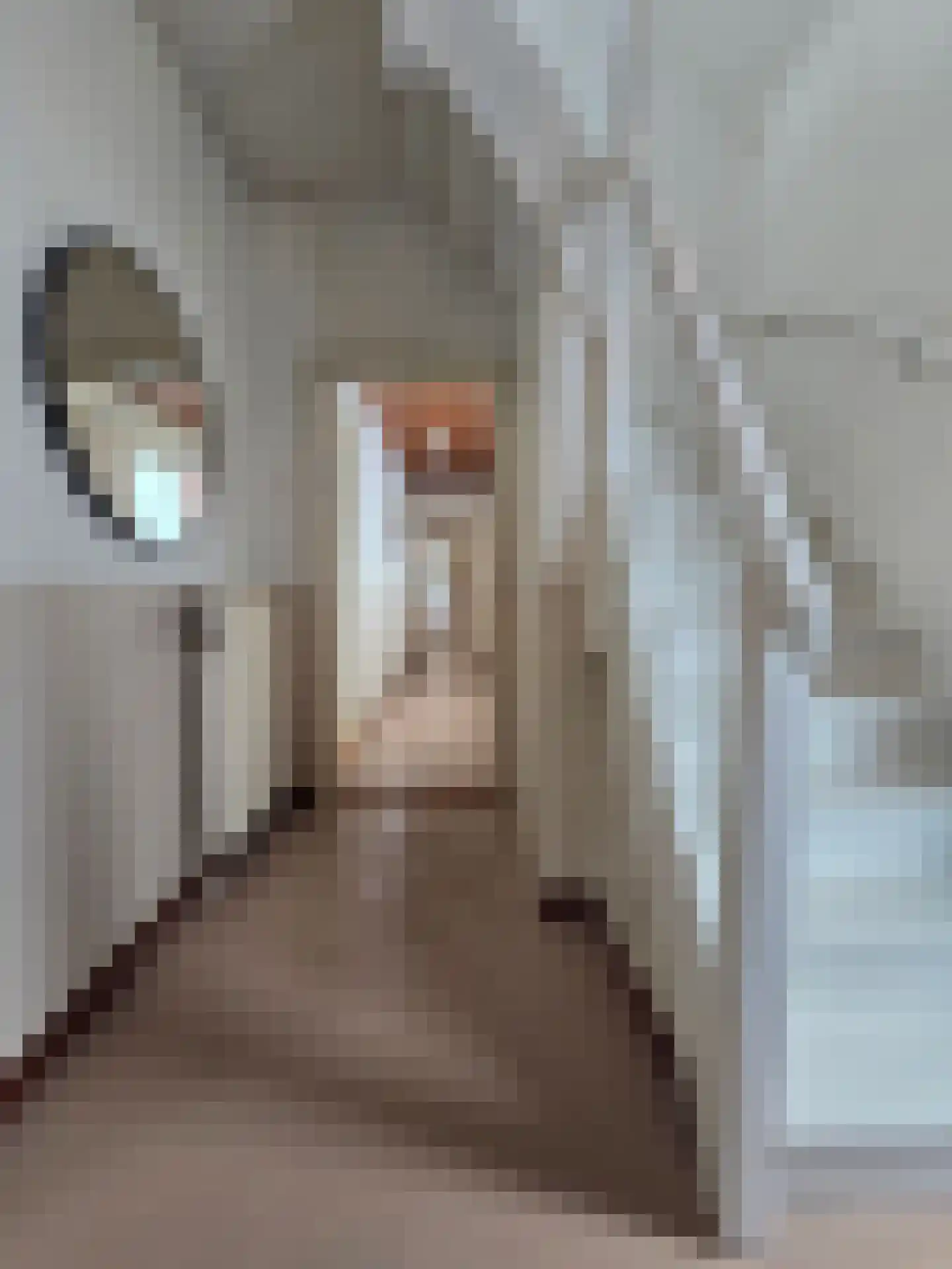 Johan Rengersstraat 3 Ten Post thumbnail 22