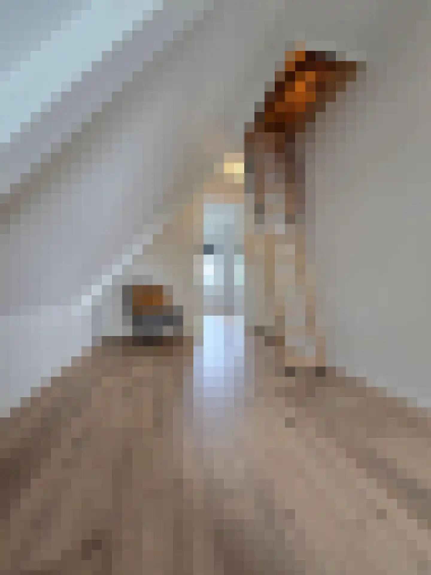 Johan Rengersstraat 3 Ten Post thumbnail 26
