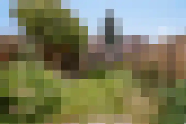 Johan Rijnjastraat 26 Amsterdam thumbnail 8
