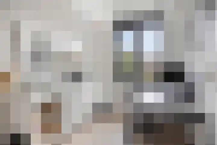 Johan Roebersstraat 10 Deventer thumbnail 25