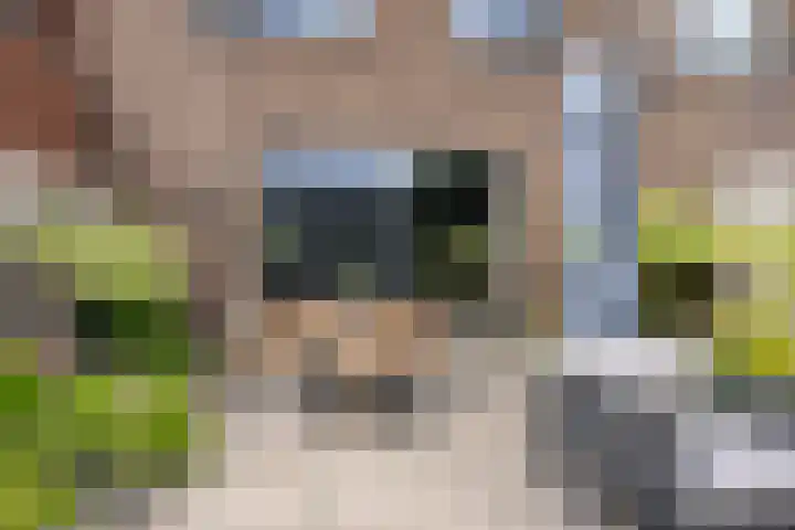 Johan Roebersstraat 10 Deventer thumbnail 31