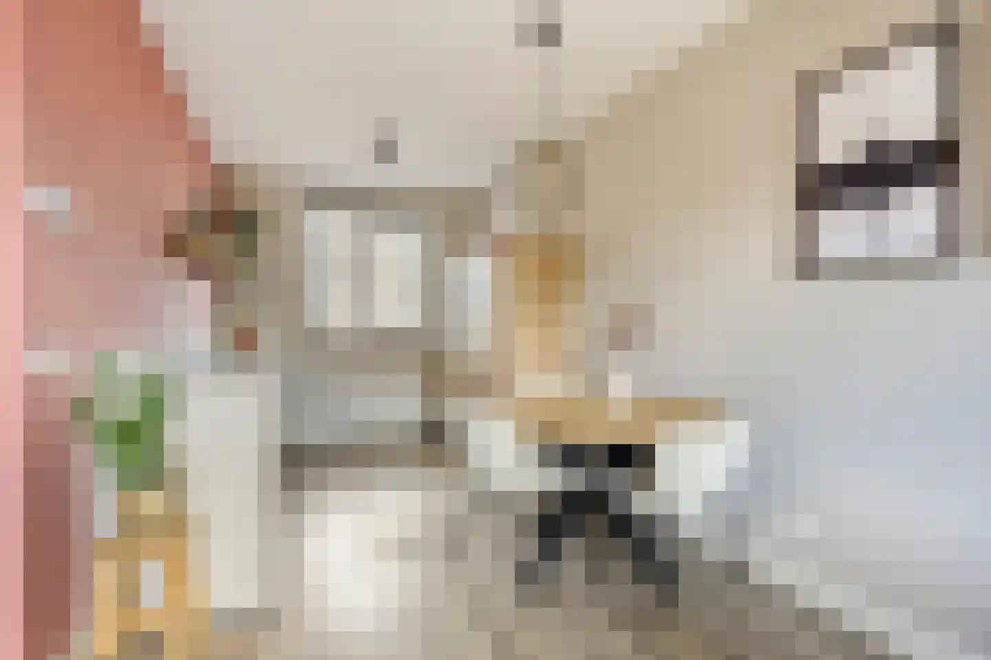 Johan Roebersstraat 49 Deventer thumbnail 17