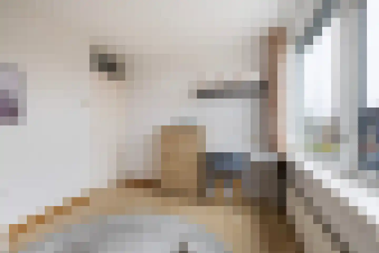 Johan Roordastrjitte 3 Tzummarum thumbnail 30