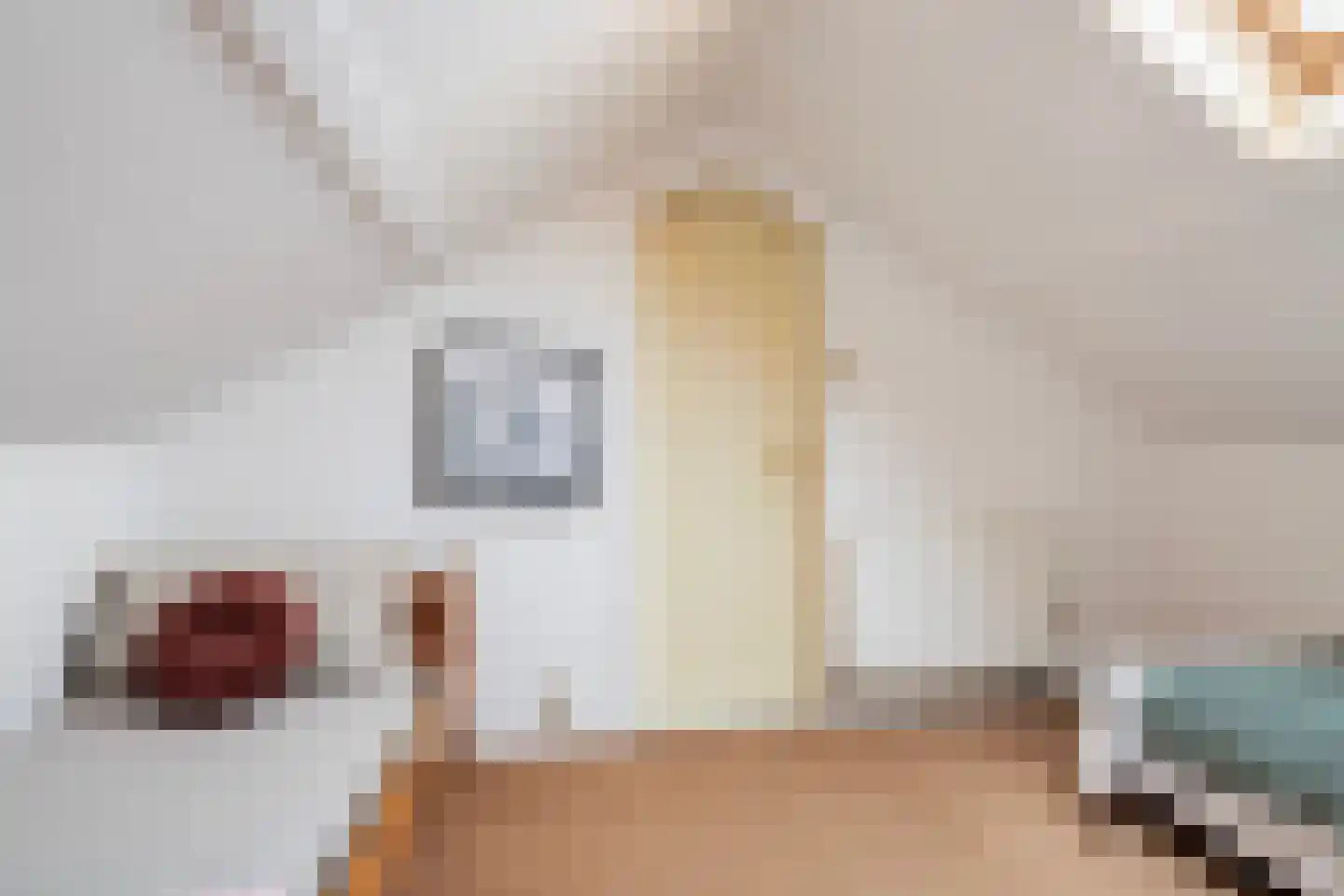 Johan Roordastrjitte 3 Tzummarum thumbnail 37