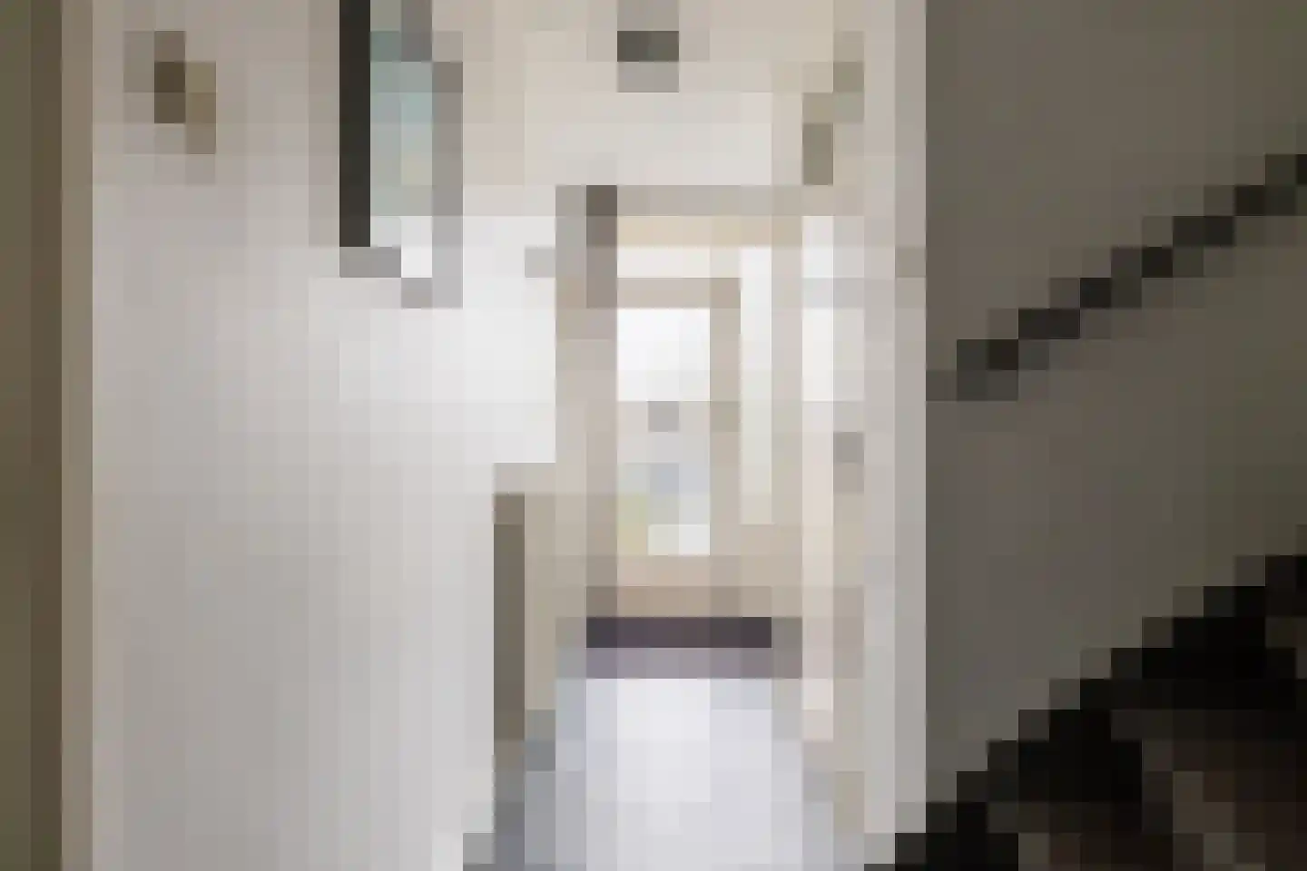 Johan Roordastrjitte 3 Tzummarum thumbnail 9