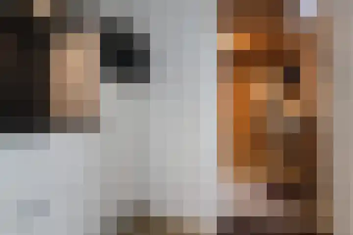 Johan Roordastrjitte 9 Tzummarum thumbnail 21