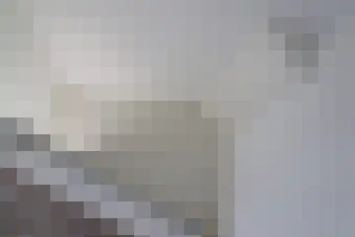 Johan Roordastrjitte 9 Tzummarum thumbnail 26