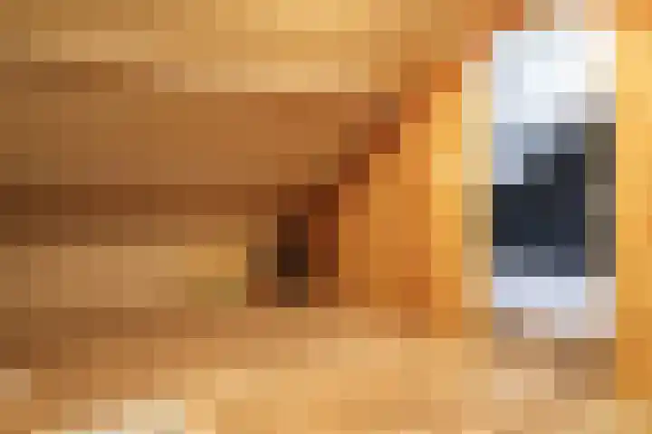 Johan Roordastrjitte 9 Tzummarum thumbnail 41