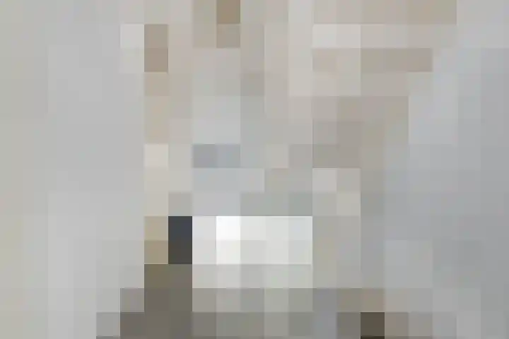 Johan Ruytersdreef 20 Sittard thumbnail 17