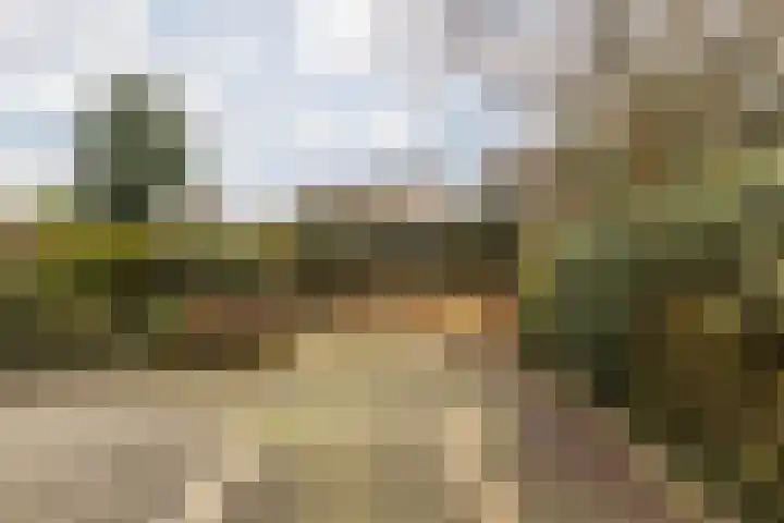 Johan Ruytersdreef 20 Sittard thumbnail 28