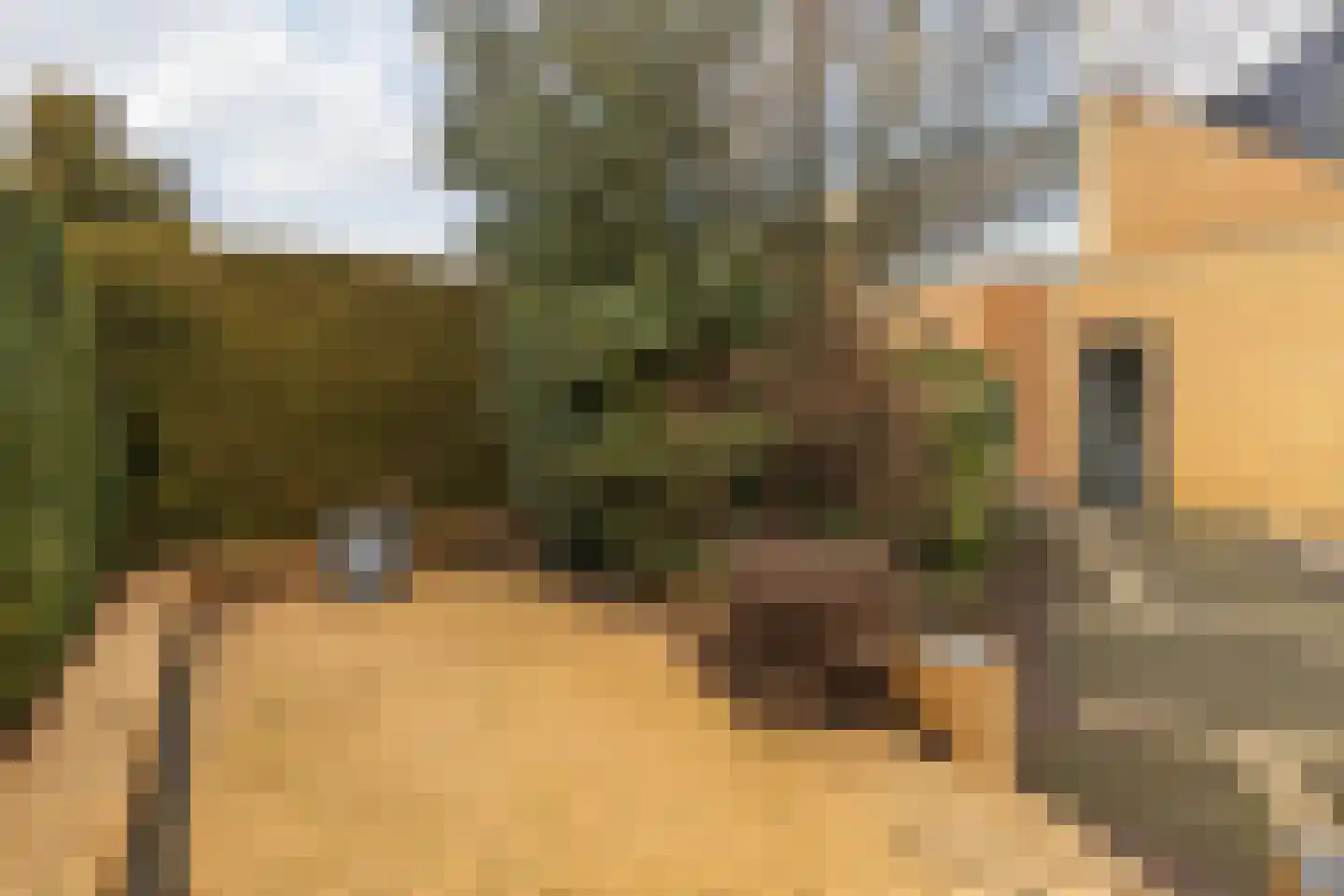 Johan Ruytersdreef 20 Sittard thumbnail 29