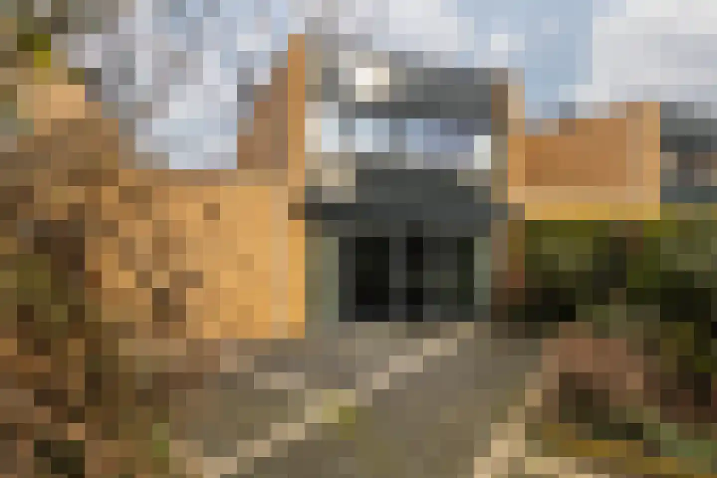 Johan Ruytersdreef 20 Sittard thumbnail 31