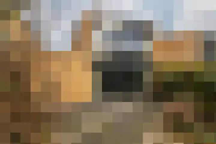 Johan Ruytersdreef 20 Sittard thumbnail 31