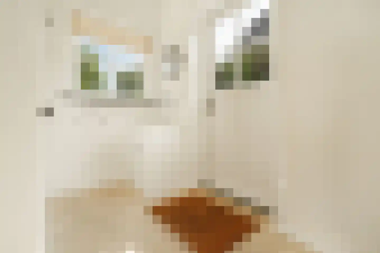 Johan Schoonderbeeklaan 12 Naarden thumbnail 25