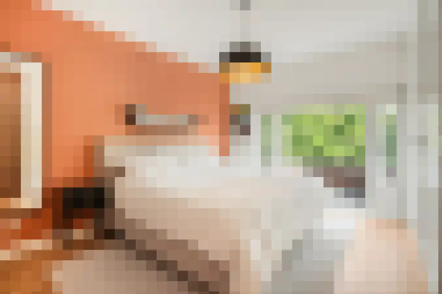 Johan Schoonderbeeklaan 12 Naarden thumbnail 29