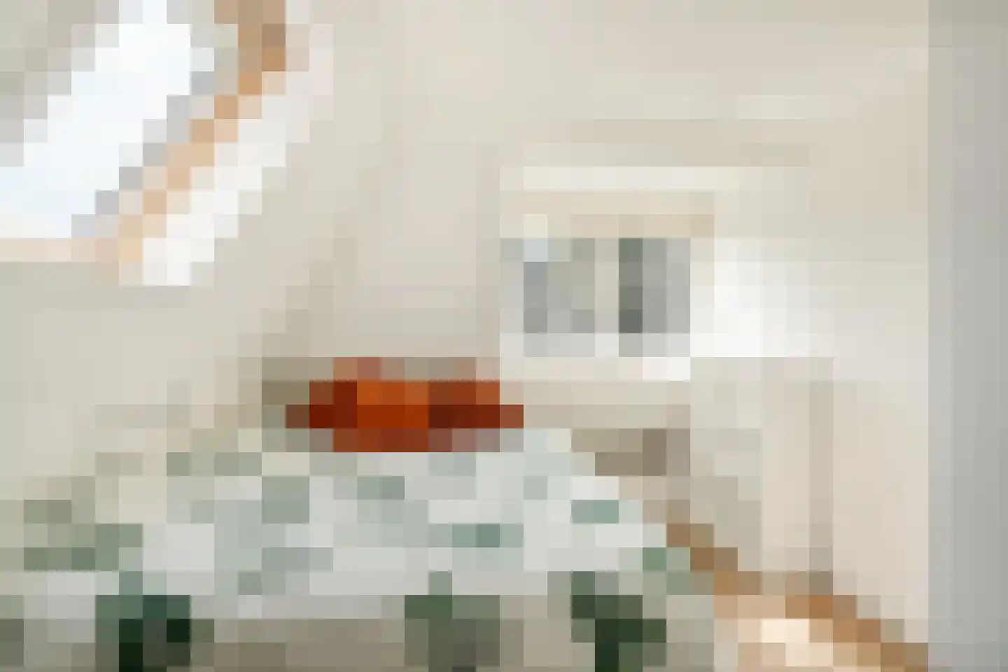 Johan Schoonderbeeklaan 12 Naarden thumbnail 34