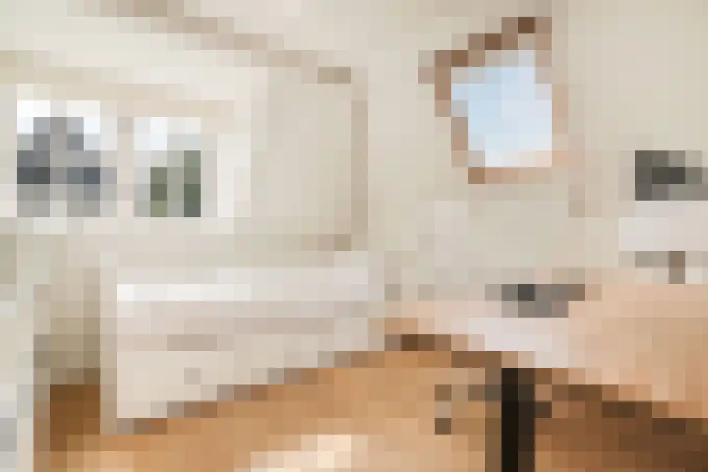 Johan Schoonderbeeklaan 12 Naarden thumbnail 39