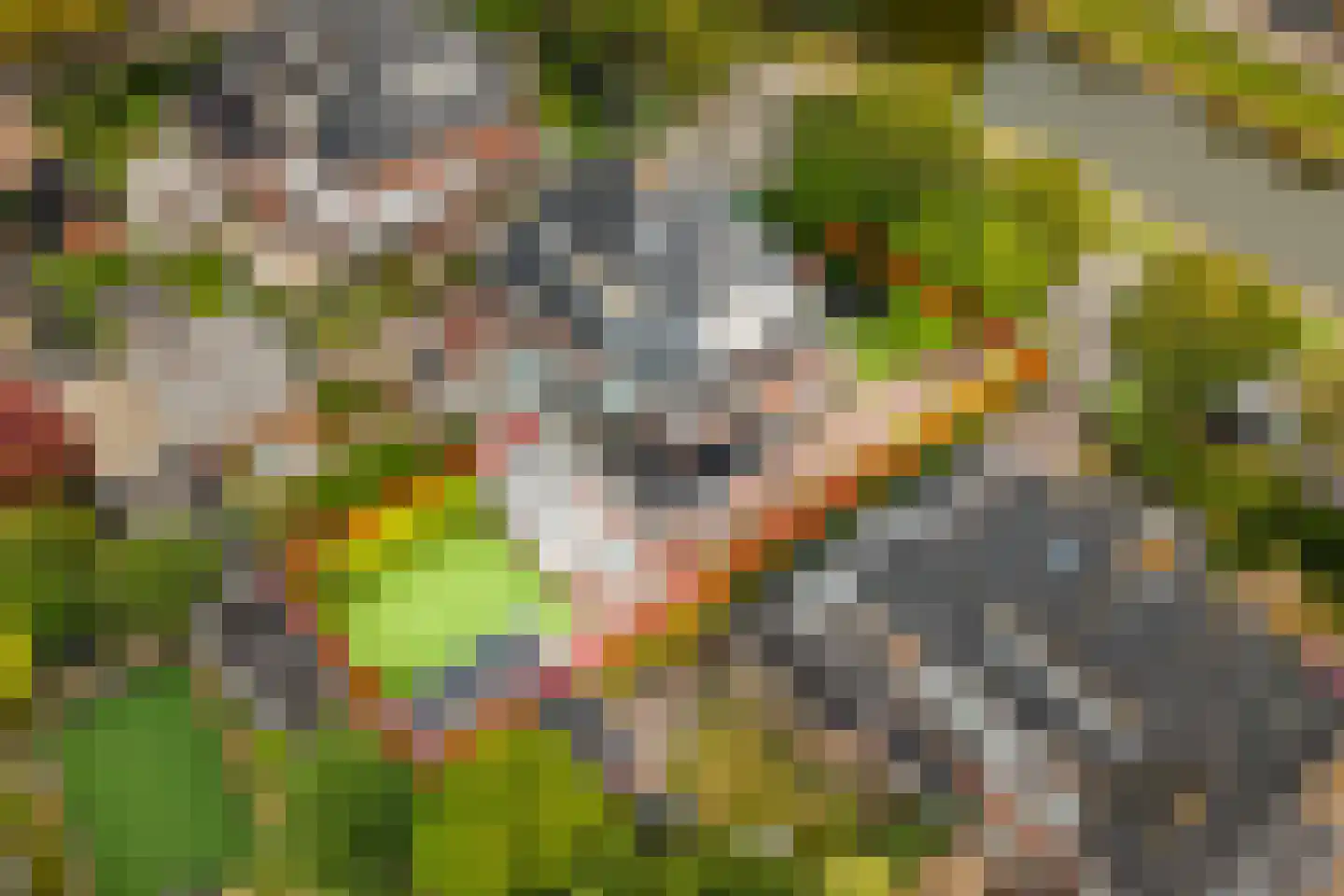 Johan Schoonderbeeklaan 12 Naarden thumbnail 59