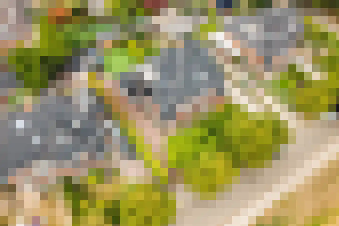 Johan Schoonderbeeklaan 12 Naarden thumbnail 62