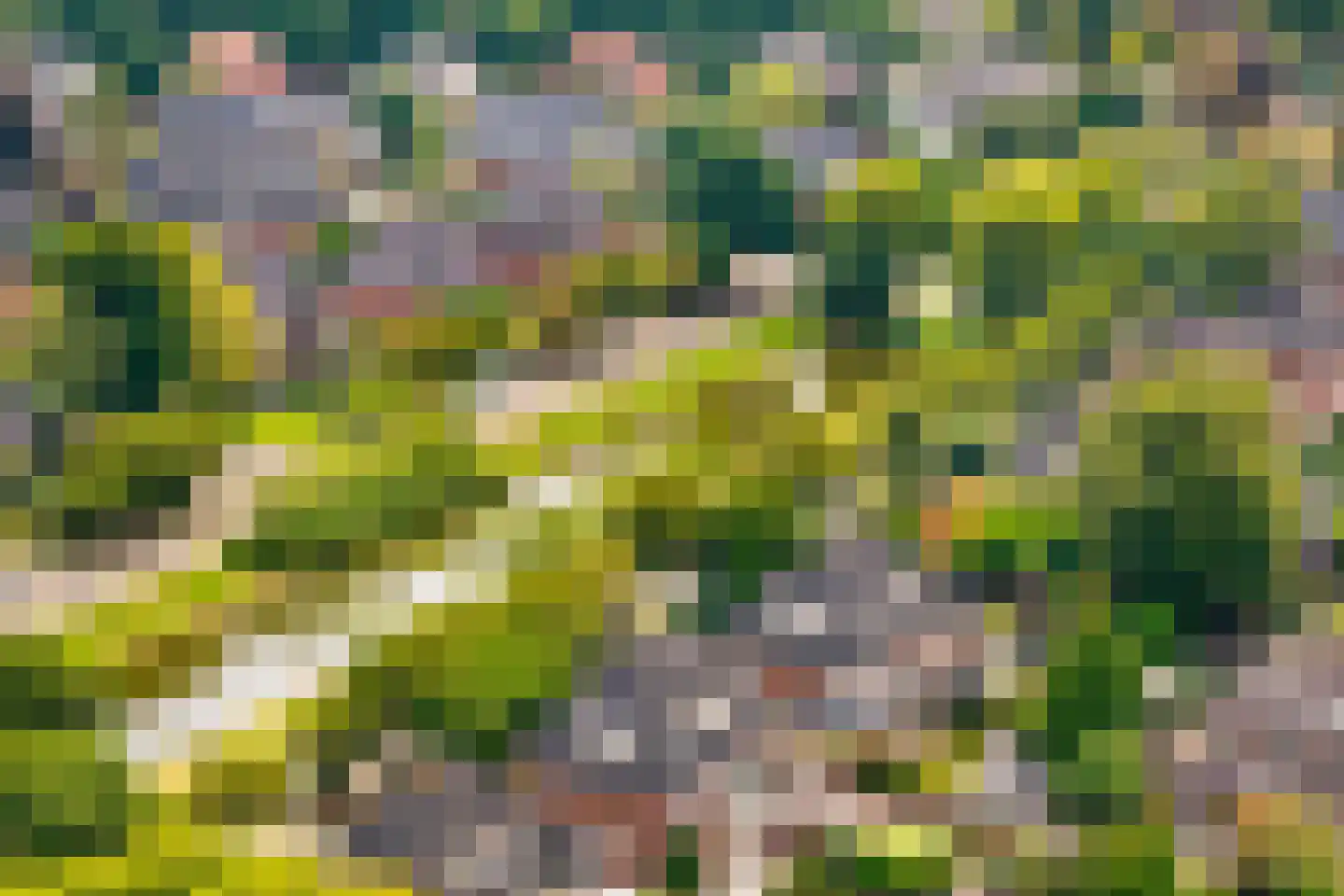 Johan Schoonderbeeklaan 12 Naarden thumbnail 63