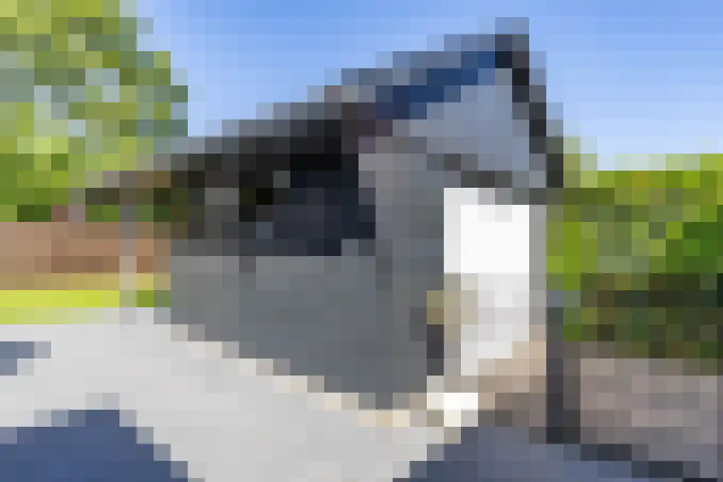 Johan ter Schoeleweg 23 Surhuisterveen thumbnail 34