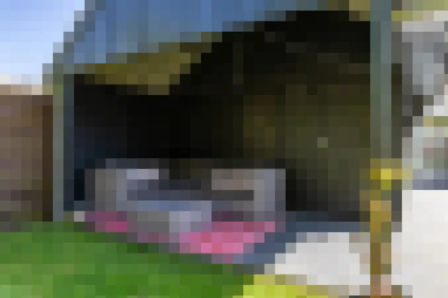 Johan ter Schoeleweg 23 Surhuisterveen thumbnail 38