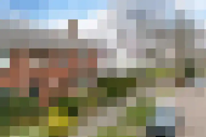 Johan ter Schoeleweg 71 Surhuisterveen thumbnail 44