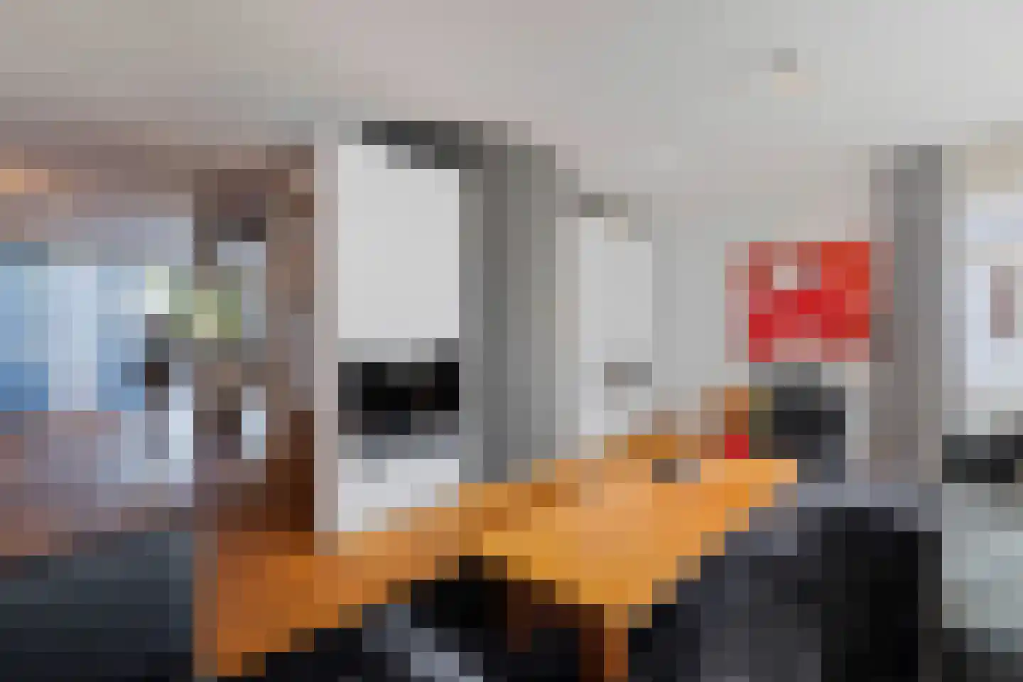 Johan Termeulenstraat 27 Venlo thumbnail 10