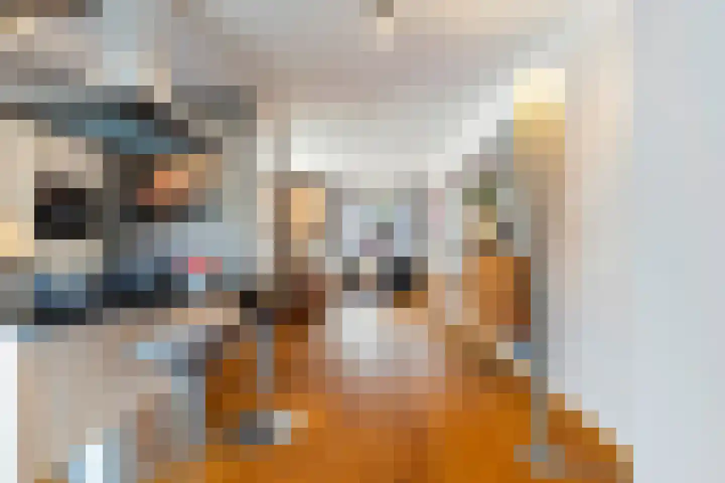 Johan Termeulenstraat 27 Venlo thumbnail 18