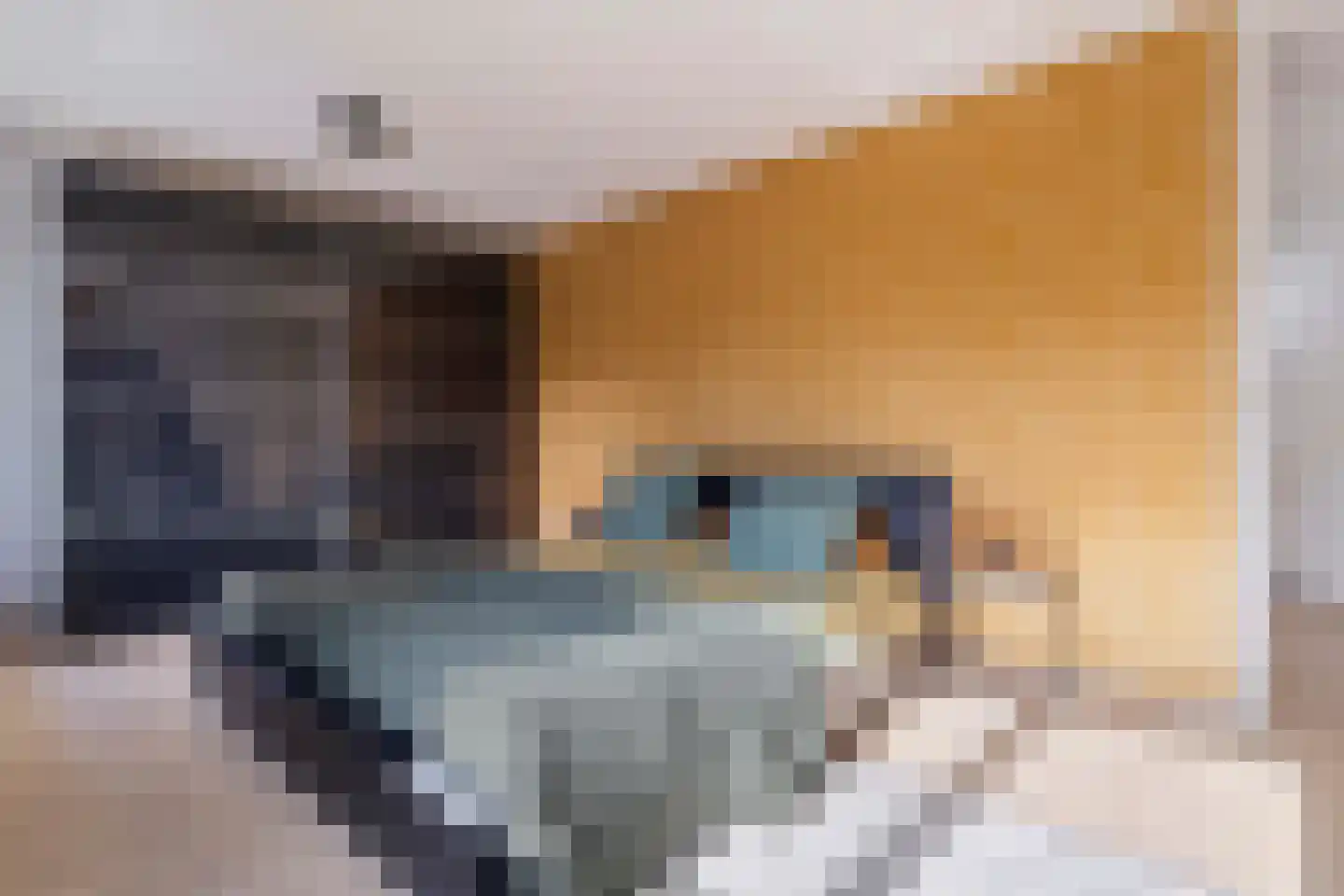 Johan Termeulenstraat 27 Venlo thumbnail 32