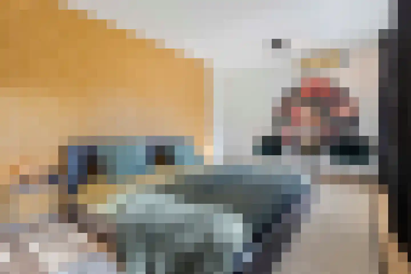 Johan Termeulenstraat 27 Venlo thumbnail 33