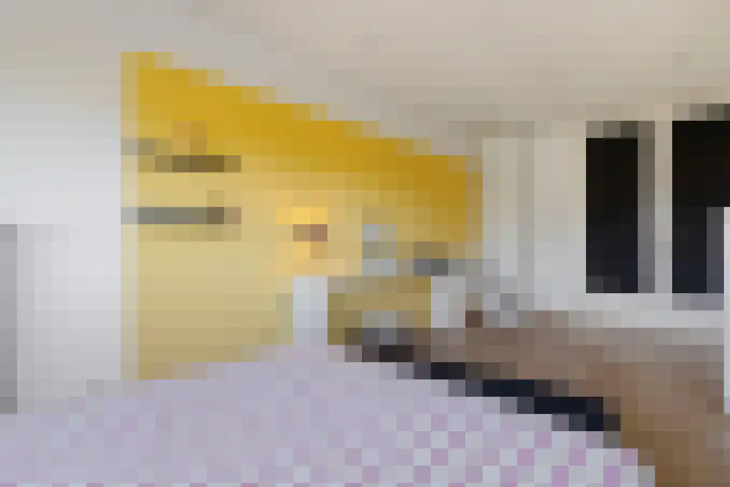 Johan Termeulenstraat 27 Venlo thumbnail 39