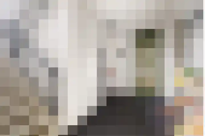 Johan uten Boomgaarterf 8 Odijk thumbnail 10