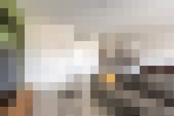 Johan uten Boomgaarterf 8 Odijk thumbnail 14