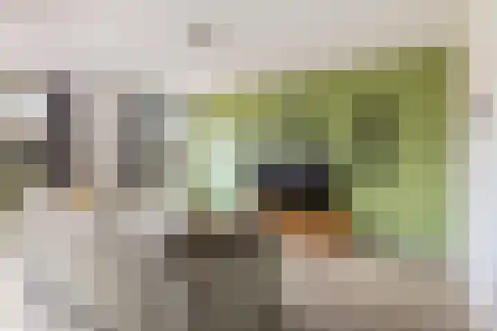 Johan uten Boomgaarterf 8 Odijk thumbnail 16