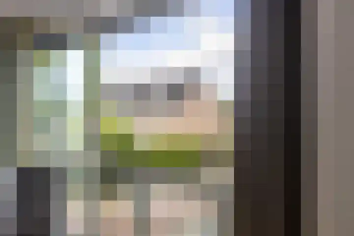 Johan uten Boomgaarterf 8 Odijk thumbnail 19