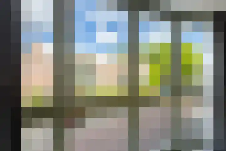 Johan uten Boomgaarterf 8 Odijk thumbnail 20