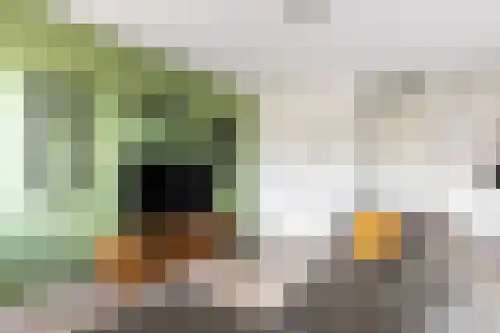Johan uten Boomgaarterf 8 Odijk thumbnail 22