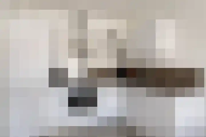 Johan uten Boomgaarterf 8 Odijk thumbnail 24
