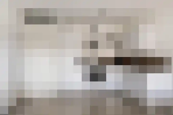 Johan uten Boomgaarterf 8 Odijk thumbnail 26